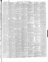 East & South Devon Advertiser. Saturday 07 March 1885 Page 3