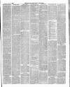 East & South Devon Advertiser. Saturday 17 April 1886 Page 5