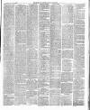 East & South Devon Advertiser. Saturday 19 June 1886 Page 5