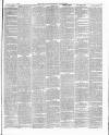 East & South Devon Advertiser. Saturday 03 July 1886 Page 3