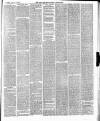East & South Devon Advertiser. Saturday 01 January 1887 Page 5