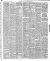 East & South Devon Advertiser. Saturday 22 January 1887 Page 5