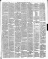 East & South Devon Advertiser. Saturday 19 February 1887 Page 3