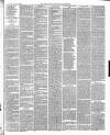 East & South Devon Advertiser. Saturday 02 April 1887 Page 3