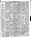 East & South Devon Advertiser. Saturday 23 July 1887 Page 3