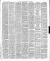 East & South Devon Advertiser. Saturday 23 July 1887 Page 5