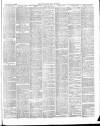 East & South Devon Advertiser. Saturday 15 February 1890 Page 5
