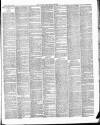 East & South Devon Advertiser. Saturday 01 March 1890 Page 3
