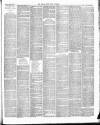 East & South Devon Advertiser. Saturday 05 April 1890 Page 3