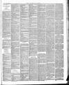 East & South Devon Advertiser. Saturday 03 May 1890 Page 5