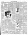 East & South Devon Advertiser. Saturday 04 April 1891 Page 3