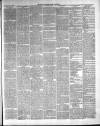 East & South Devon Advertiser. Saturday 06 June 1891 Page 5