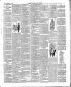 East & South Devon Advertiser. Saturday 31 December 1892 Page 3