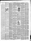 East & South Devon Advertiser. Saturday 04 November 1893 Page 3