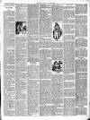 East & South Devon Advertiser. Saturday 02 June 1894 Page 3