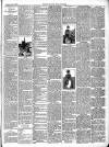 East & South Devon Advertiser. Saturday 04 August 1894 Page 3