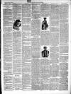 East & South Devon Advertiser. Saturday 05 January 1895 Page 3