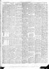 East & South Devon Advertiser. Saturday 22 February 1896 Page 3