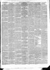 East & South Devon Advertiser. Saturday 23 May 1896 Page 3