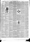 East & South Devon Advertiser. Saturday 08 August 1896 Page 7