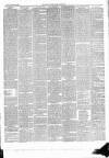 East & South Devon Advertiser. Saturday 21 November 1896 Page 3