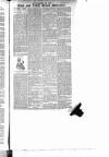 East & South Devon Advertiser. Saturday 21 November 1896 Page 8