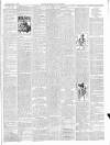 East & South Devon Advertiser. Saturday 14 January 1899 Page 3
