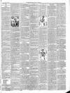 East & South Devon Advertiser. Saturday 27 May 1899 Page 3