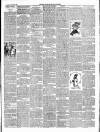 East & South Devon Advertiser. Saturday 05 January 1901 Page 3