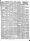 East & South Devon Advertiser. Saturday 29 March 1902 Page 3