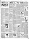 East & South Devon Advertiser. Saturday 29 March 1902 Page 7