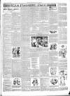 East & South Devon Advertiser. Saturday 16 August 1902 Page 7