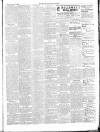 East & South Devon Advertiser. Saturday 01 November 1902 Page 3