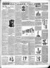 East & South Devon Advertiser. Saturday 31 January 1903 Page 7