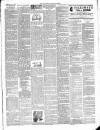 East & South Devon Advertiser. Saturday 02 July 1904 Page 3