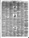 East & South Devon Advertiser. Saturday 05 August 1905 Page 2