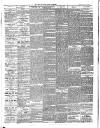 East & South Devon Advertiser. Saturday 05 January 1907 Page 8