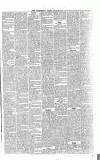 West Surrey Times Saturday 16 April 1859 Page 3