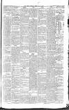 West Surrey Times Saturday 01 June 1861 Page 3