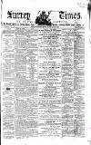 West Surrey Times Saturday 06 February 1864 Page 1
