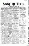 West Surrey Times Saturday 05 November 1864 Page 1