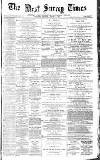 West Surrey Times Thursday 29 January 1874 Page 1