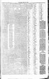 West Surrey Times Thursday 29 January 1874 Page 3