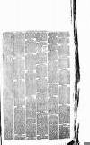 West Surrey Times Saturday 22 April 1876 Page 7