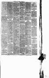 West Surrey Times Saturday 08 July 1876 Page 5