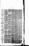 West Surrey Times Saturday 15 July 1876 Page 3