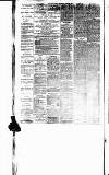 West Surrey Times Saturday 19 August 1876 Page 2