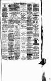 West Surrey Times Saturday 09 December 1876 Page 7