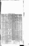 West Surrey Times Saturday 30 December 1876 Page 3