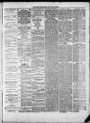 West Surrey Times Saturday 06 January 1877 Page 3